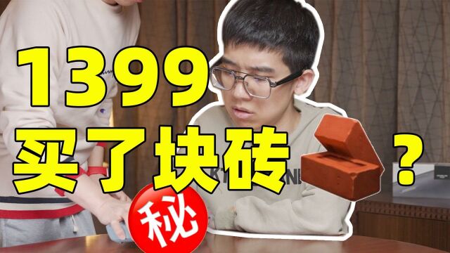 1399 买了块砖?!Bose SoundLink Flex 蓝牙音响体验