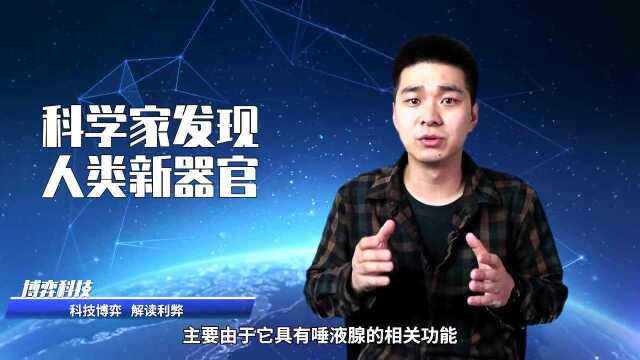 科学家发现人类新器官!