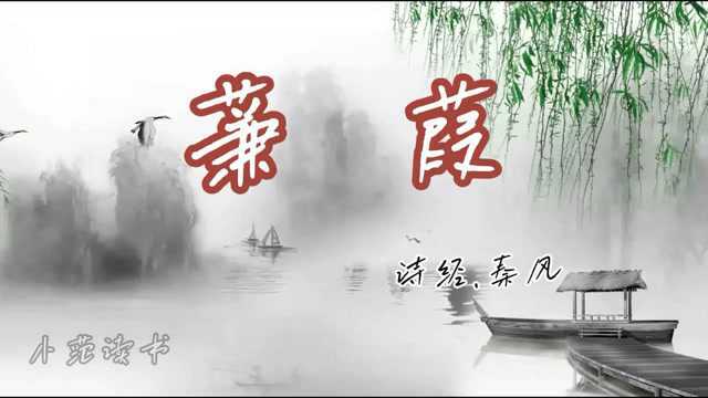 蒹葭.诗经.秦风