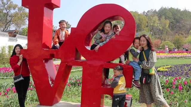 英山县四季花海花絮