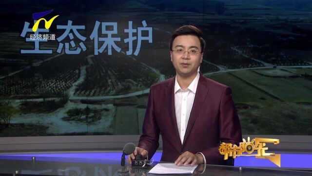 【阳光关注】厚植宁夏生态底色 为绿水青山科学添绿