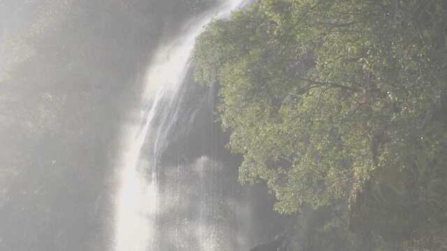 舞阳河.游船风景