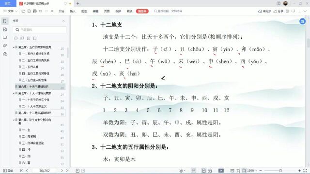 八字十二地支系统知识学习1