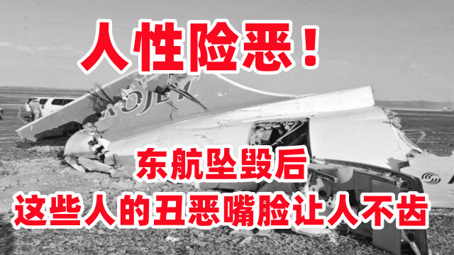 人性险恶东航mu5735坠毁后这些人的丑恶嘴脸让人不齿