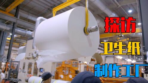 探访英国造纸工厂，一天生产25000卷卫生纸，母卷重达一吨多