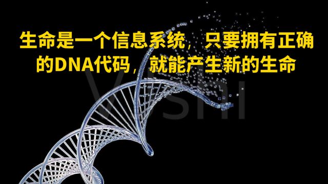 生命是一个信息系统,只要拥有正确的DNA代码,就能产生新的生