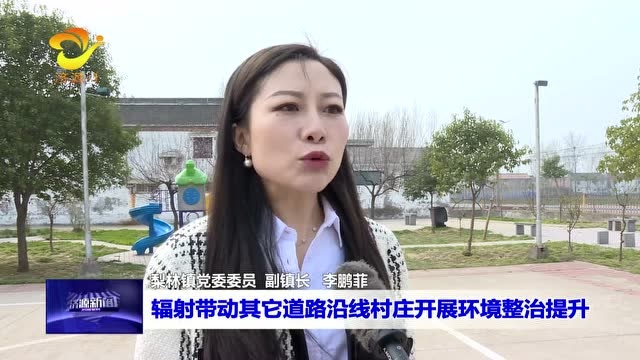 梨林镇整治提升镇村主干道沿线环境