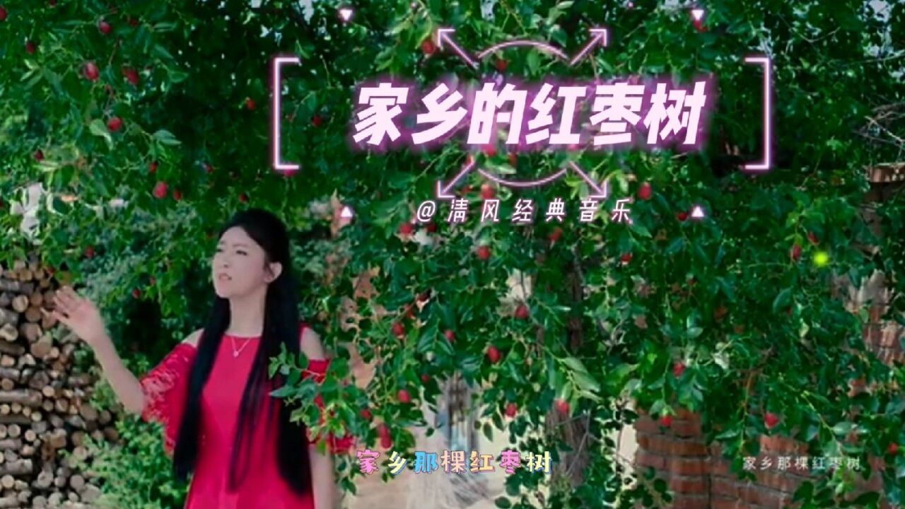 經典歌曲欣賞《紅棗樹》