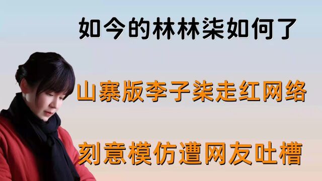 山寨版李子柒走红网络,刻意模仿遭网友吐槽,如今的林林柒如何了