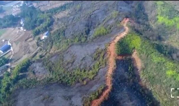 清明将至 防火先行丨海阳公安提醒您:文明祭扫,严禁野外用火