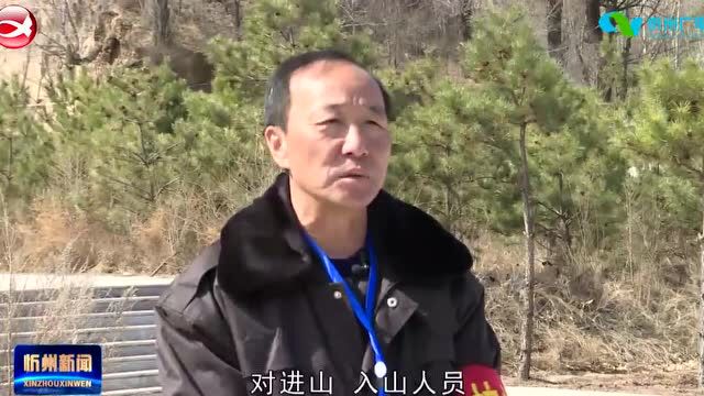 岢岚:清明植树文明祭祖 护林防火毫不松劲