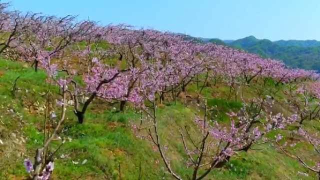 丹东河口风景区大家去过吗?如果你们不了解的话我带你了解下