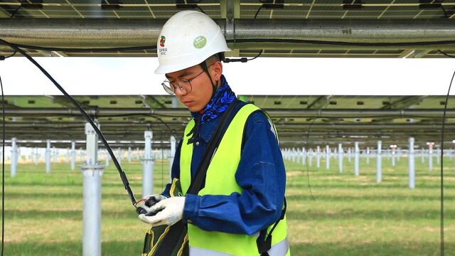 青年先锋 项目建功