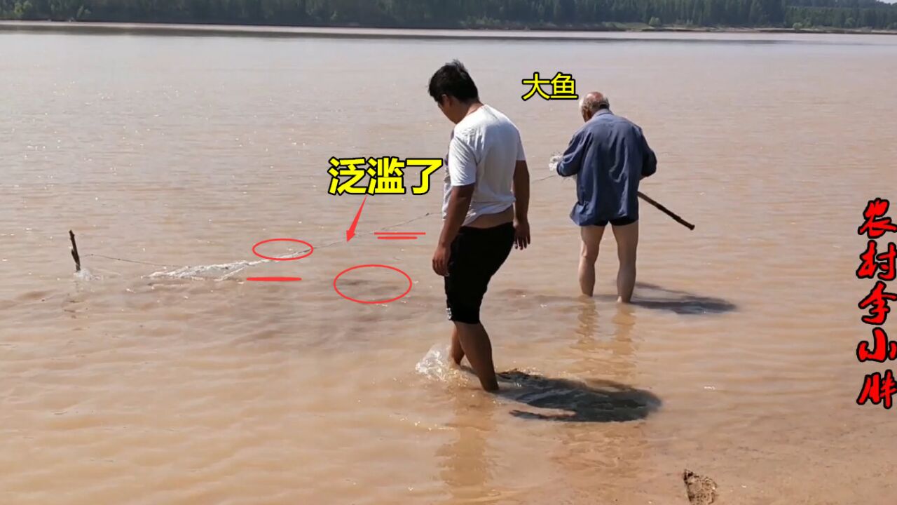 黄河浅滩鲤鱼泛滥了,小伙撒网接连扣住大鱼,大爷急眼了赶紧下网