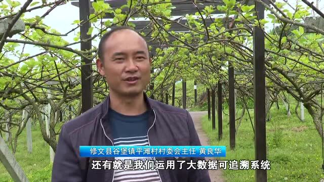 牢记嘱托创新路 满怀信心向前进|修文县:以高质量发展为统揽 全力奏响“强省会”强音