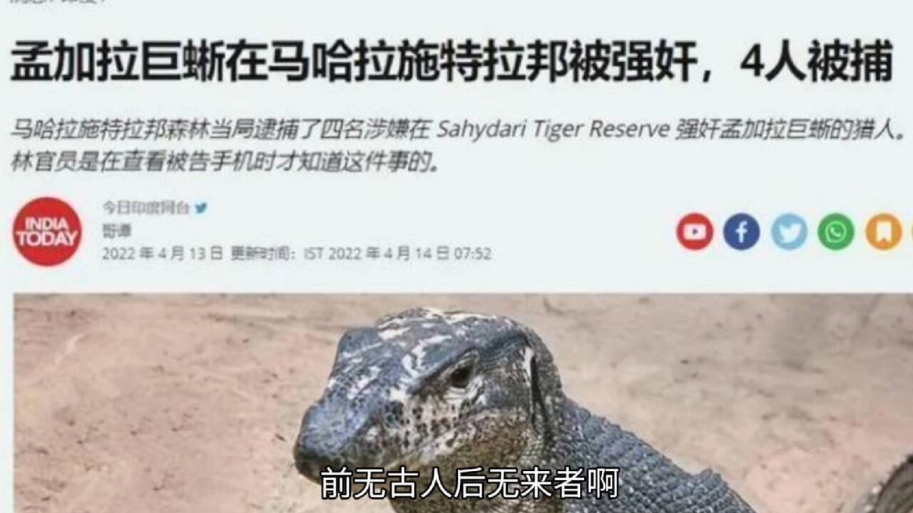奇闻：4名男子强奸巨蜥，还录下视频_高清