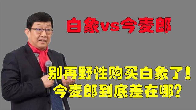 别再野性买白象了!7天销售千万被指营销,难怪今麦郎效仿不香了