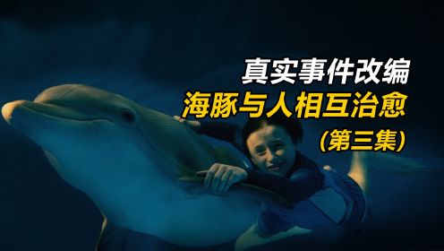 一只没有尾巴却学会了游泳的海豚故事，激励了无数人！