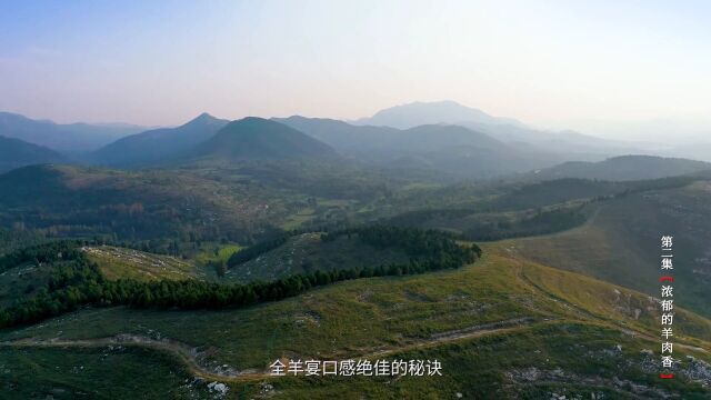 品尝山东特色美食,探寻齐鲁大地风土民情