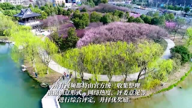 全力以“阜” 不负韶华,微视频征集活动喊你一起记录美好阜阳!