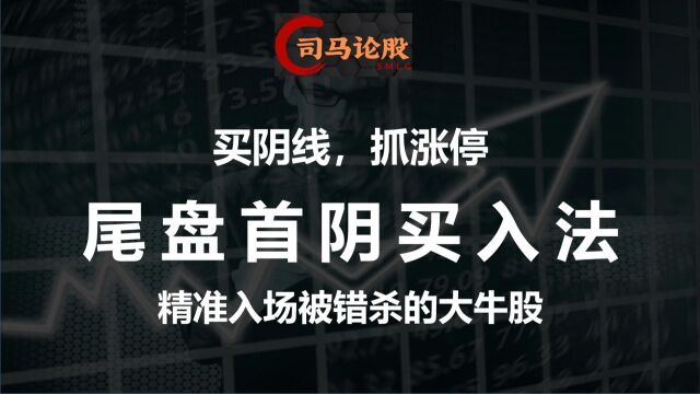 买阴线,抓涨停.尾盘首阴买入法,精准入场被错杀的大牛股!.