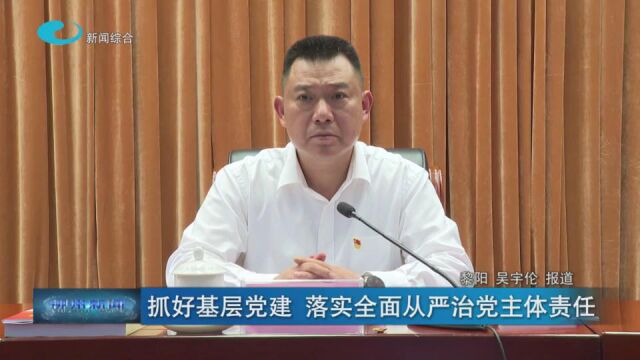 抓好基层党建 落实全面从严治党主体责任(转自“在柳州”客户端)