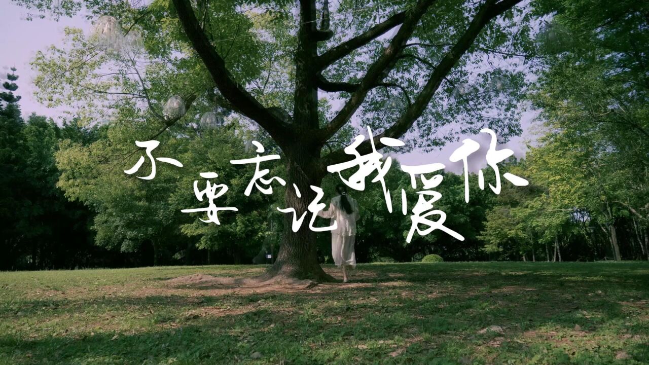 《不要忘记我爱你》mv