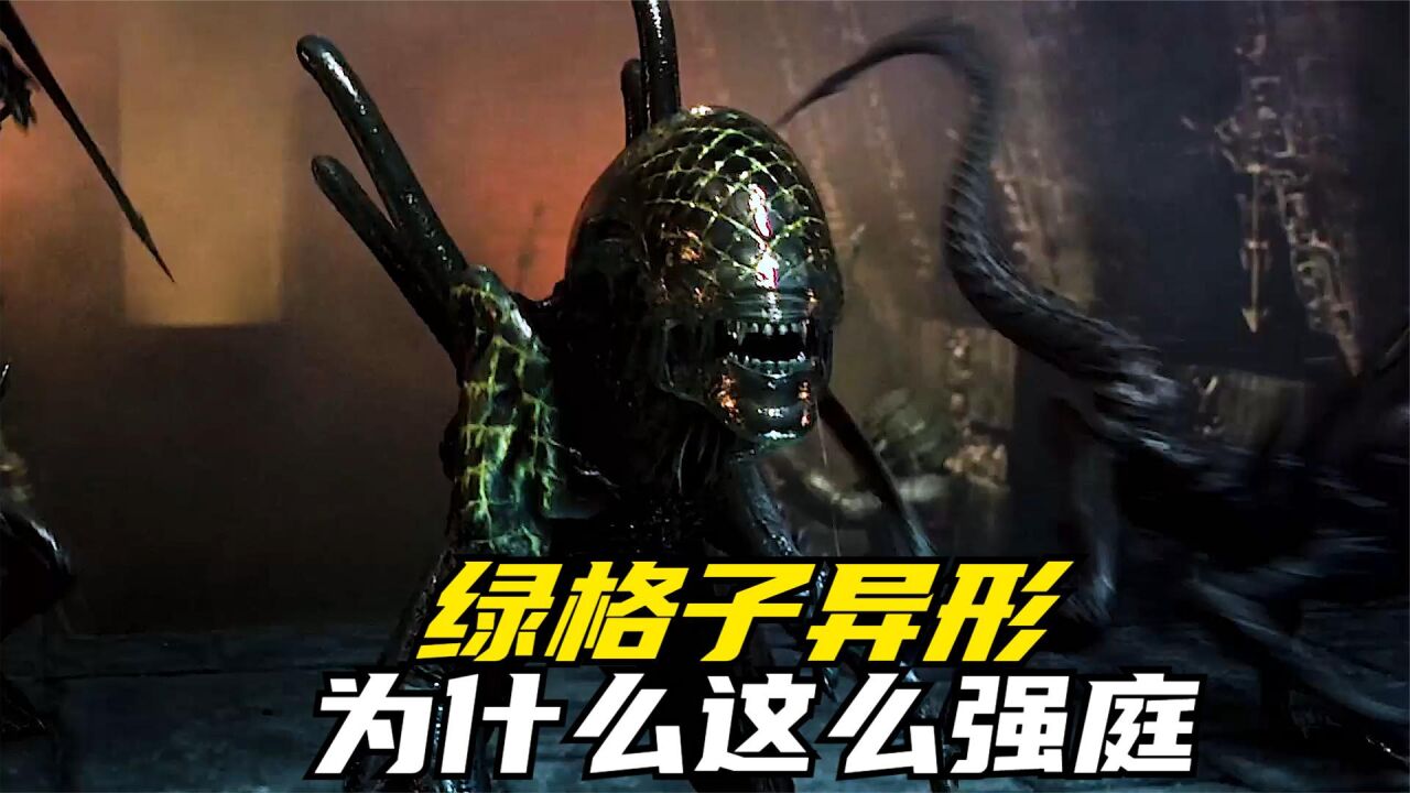 腾讯视频