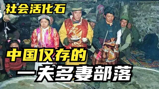 国内仅存的“伙婚”,与世隔绝保留一妻多夫,对丈夫们要求严格