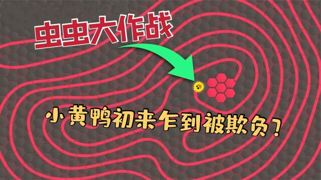 虫虫大作战:小黄鸭在地图上画圈圈被偷袭!气得放大招碾压虫虫们