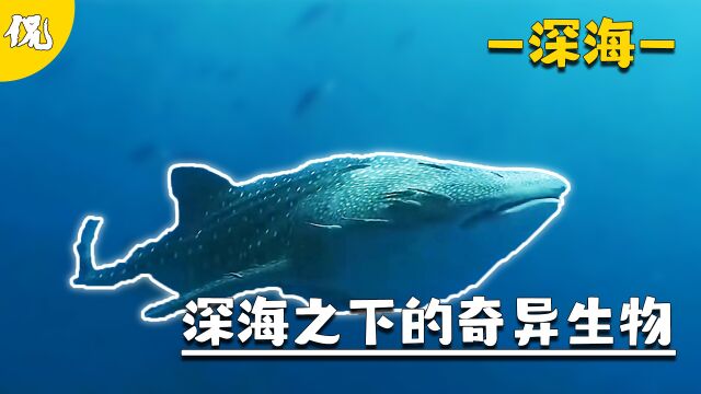 海底一万米到底存在什么?神秘的海怪传说,奇异的生物颠覆人类认知