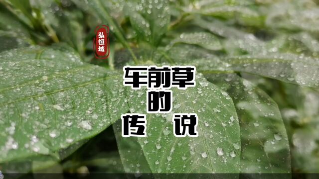 中医药文化博大精深,药材名字由来的民间传说.