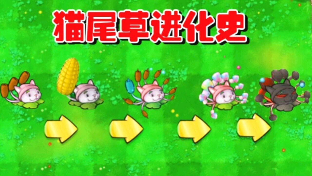 植物大战僵尸:猫尾草进化史,最后一包简直强的离谱!