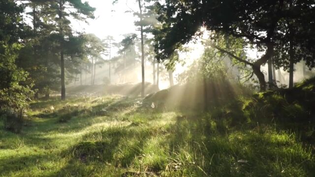 夕阳 晚霞 黄昏 治愈系风景 浪漫 天空 (80)