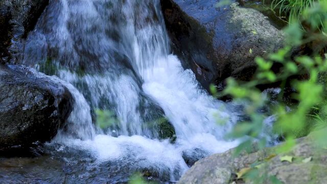 小溪 河流 溪水 小河 (22)