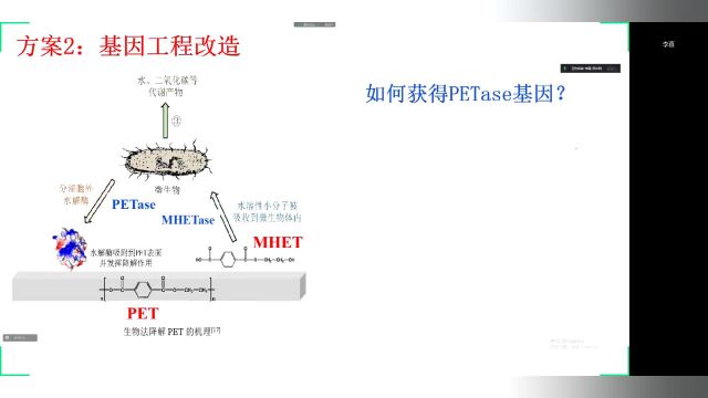 PET降解菌的筛选与改造(第2课时) 李真