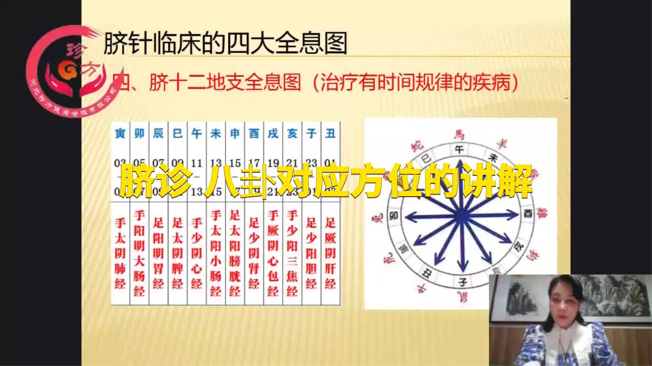 脐针四正位,脐针方位图_大山谷图库