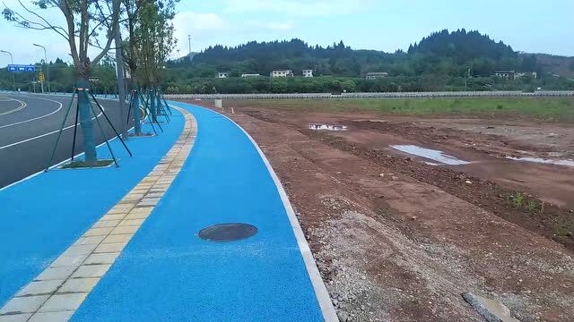 蓬安县河舒工业园区红光路