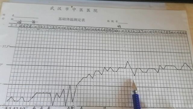 基础体温测定表绘制教程