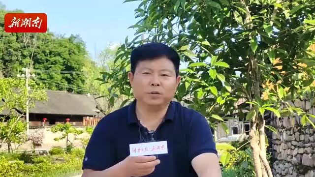 湖南日报深度报道丨酉水河畔,听他们说龙山之“变”