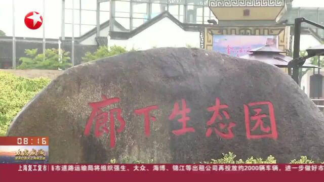 上海金山:三大景区昨天起试点开放