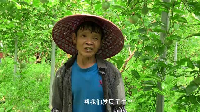 我们的新时代 | 平和县:凝心聚力打造现代化滨海城市“后起新秀”