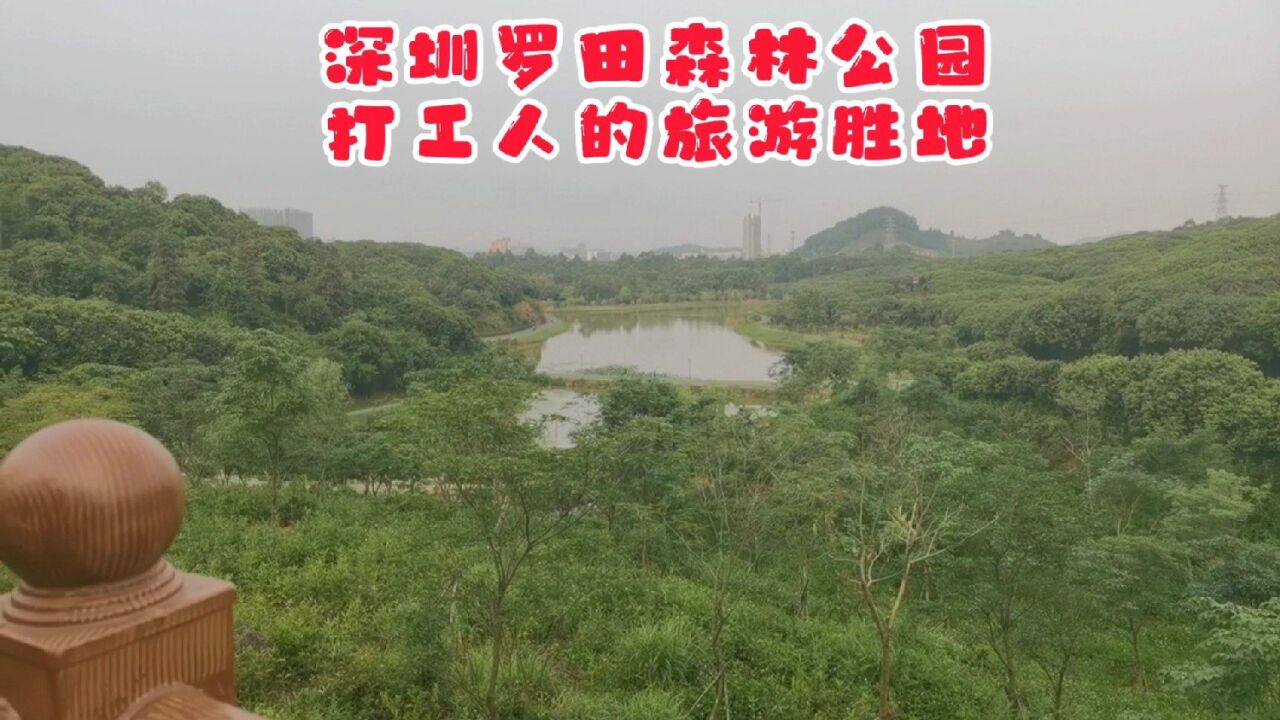 深圳罗田森林公园,打工仔的旅游胜地