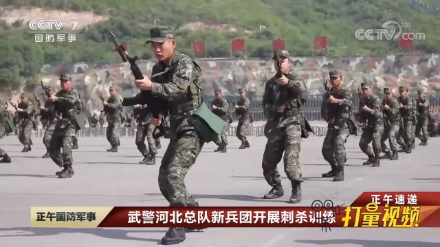 武警河北总队新兵团:组织春季入伍新兵开展刺杀训练