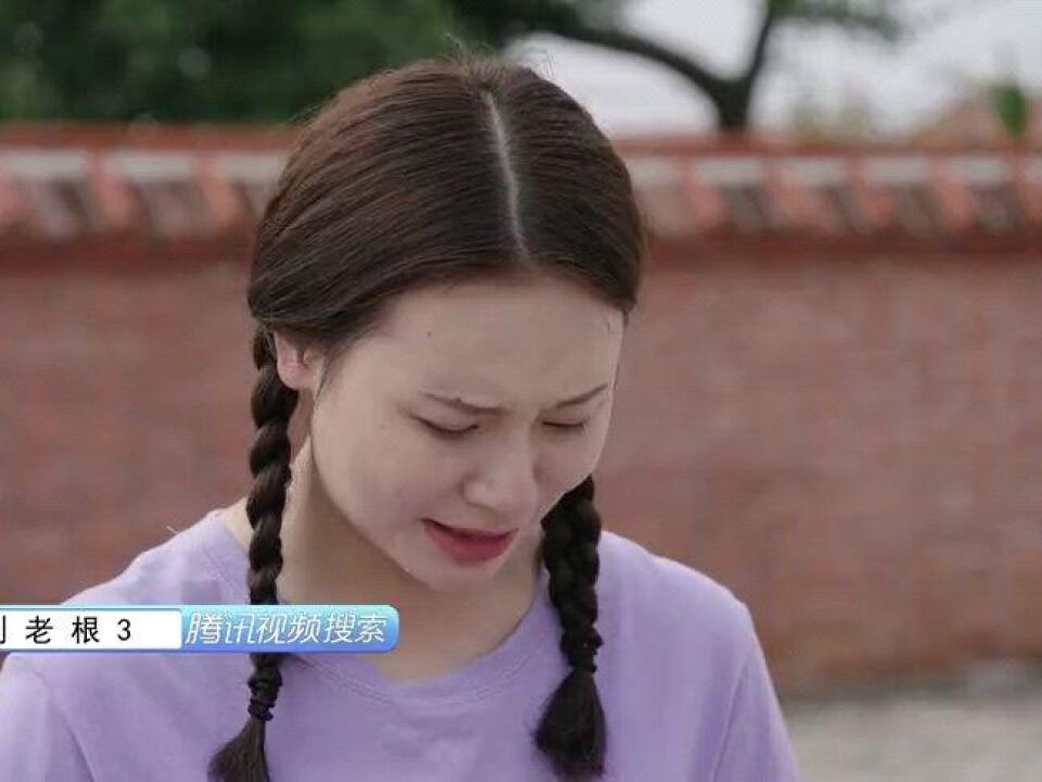 《刘老根3》药丸子说小月毕业后来山庄工作,这下急坏了小琴