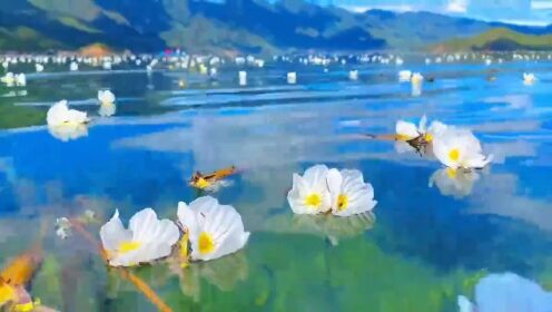 太美了，泸沽湖的水性杨花
