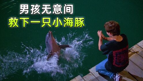 男孩无意间，救下一只小海豚