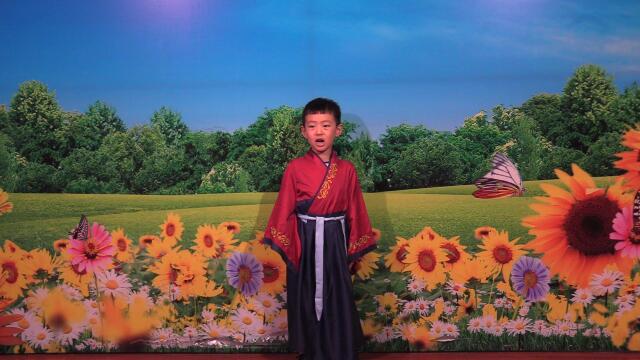 4.29孙耀阳故事司马光