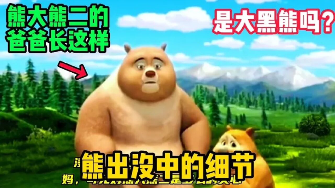 熊出没中的细节，熊大熊二的爸爸原来长这样，你可能忽略了。_高清