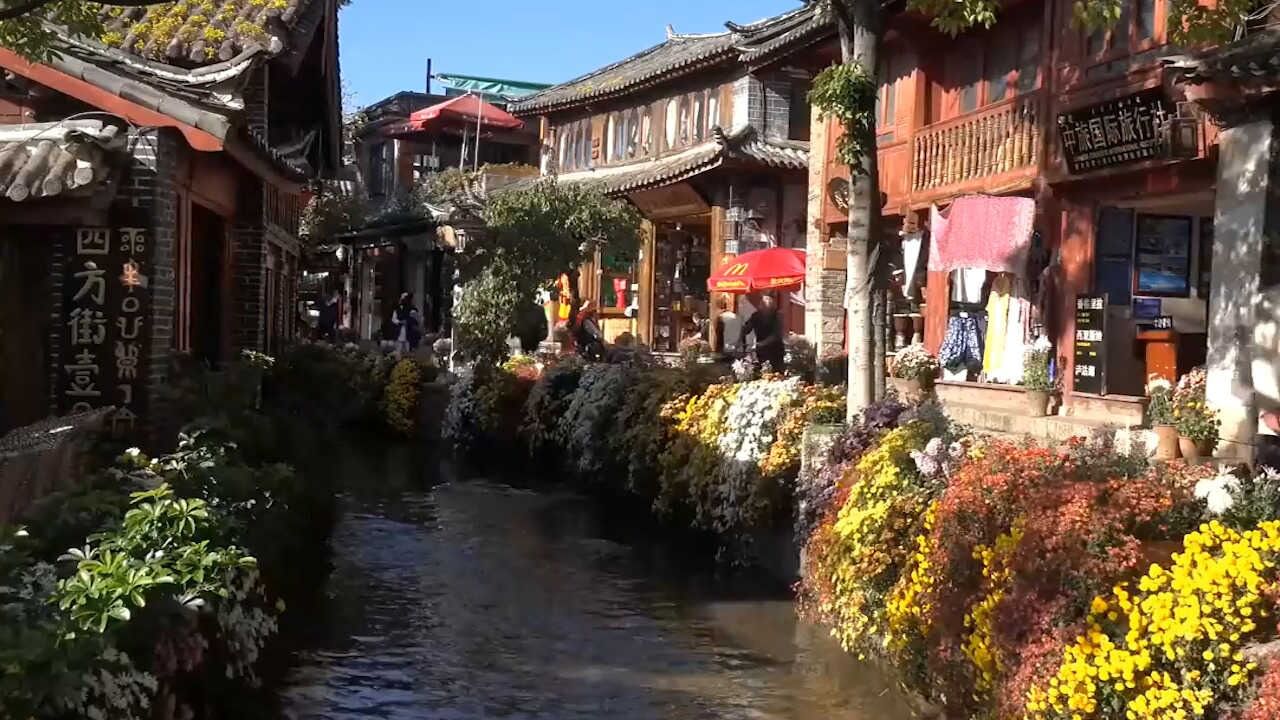 纯音乐_分享一首好听的轻音乐《城南花已开》,配上美丽各样的花儿请欣赏_高清1080P在线观看平台_腾讯视频